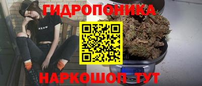 спиды Абинск