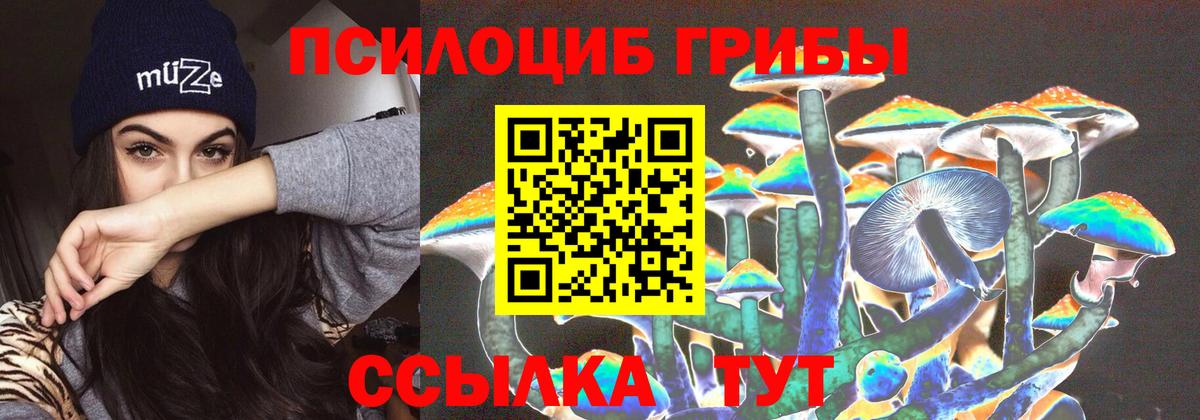 Псилоцибиновые грибы MAGIC MUSHROOMS  магазин продажи наркотиков  Россия  Вход с VPN 