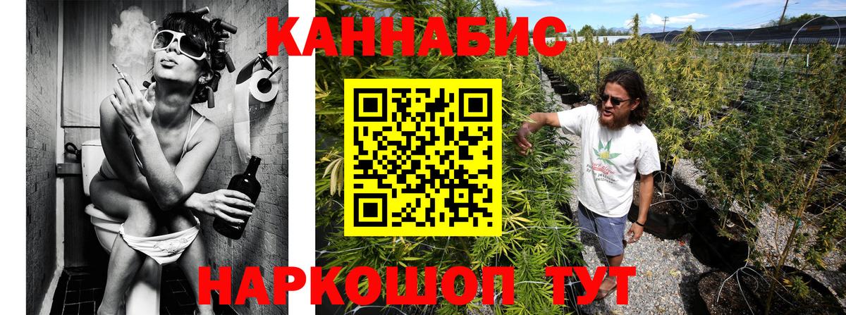 Бошки Шишки ГИДРОПОН Россия
